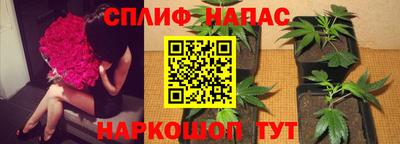 спайс Гусиноозёрск
