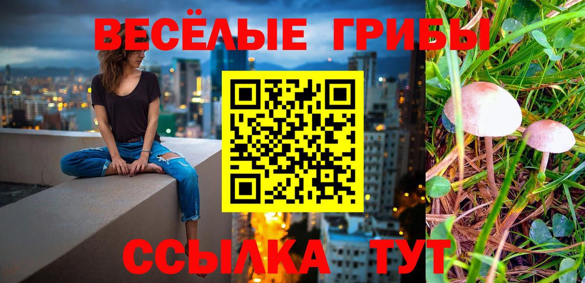 Псилоцибиновые грибы мухоморы Кострома