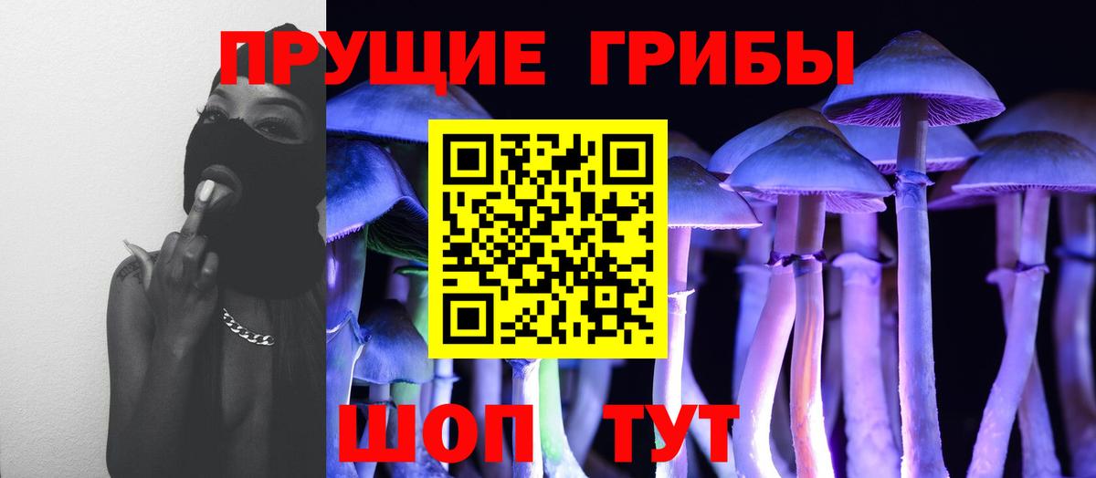Кострома  Псилоцибиновые грибы Cubensis  Вход с VPN  Галлюциногенные грибы прущие грибы 
